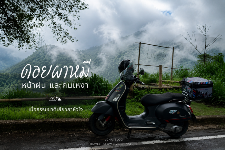 ดอยผาหมี หน้าฝน