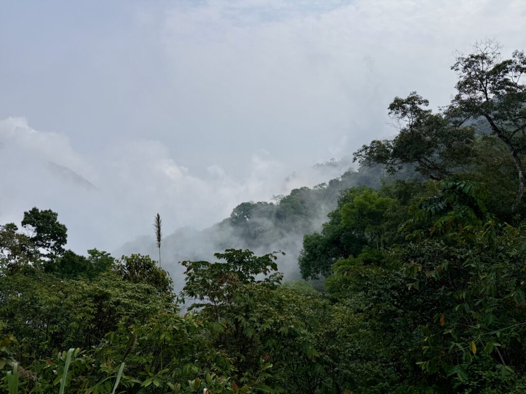 ดอยตุง เชียงราย