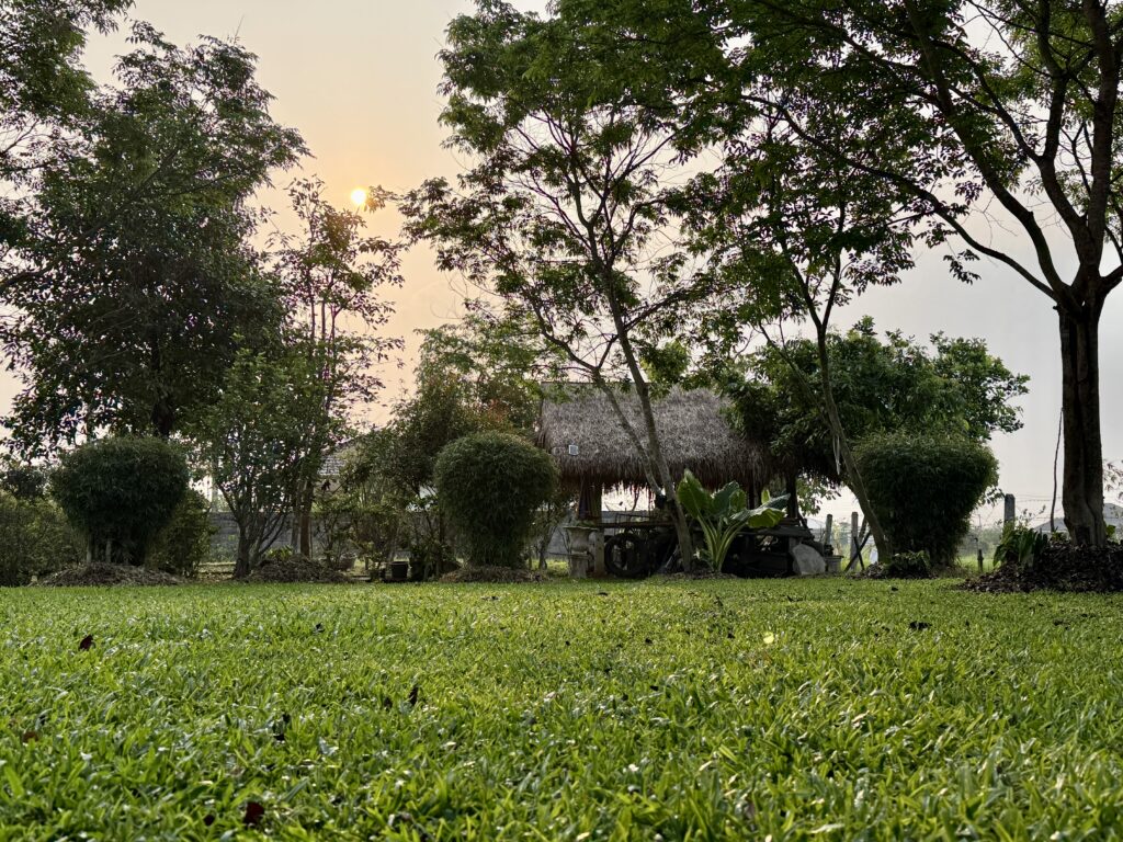 เช้าที่ช้าลง…หลังฝนพรำ