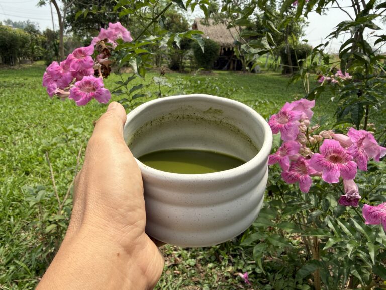 ชีวิตที่ดีคืออะไร