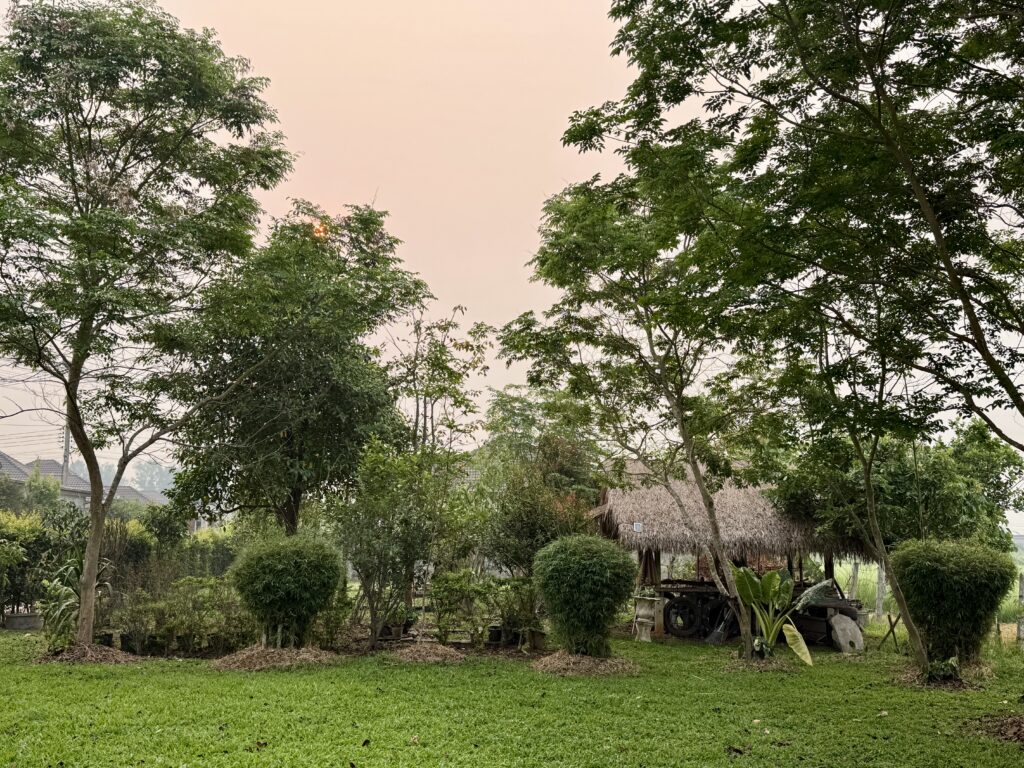 หากย้อนกลับไปแก้ไขอดีตได้