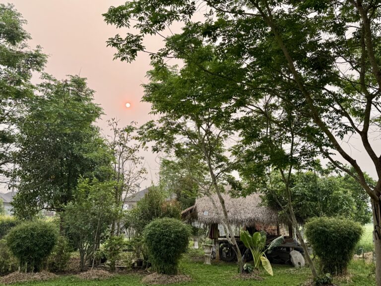 หากย้อนเวลากลับไปแก้ไขอดีต