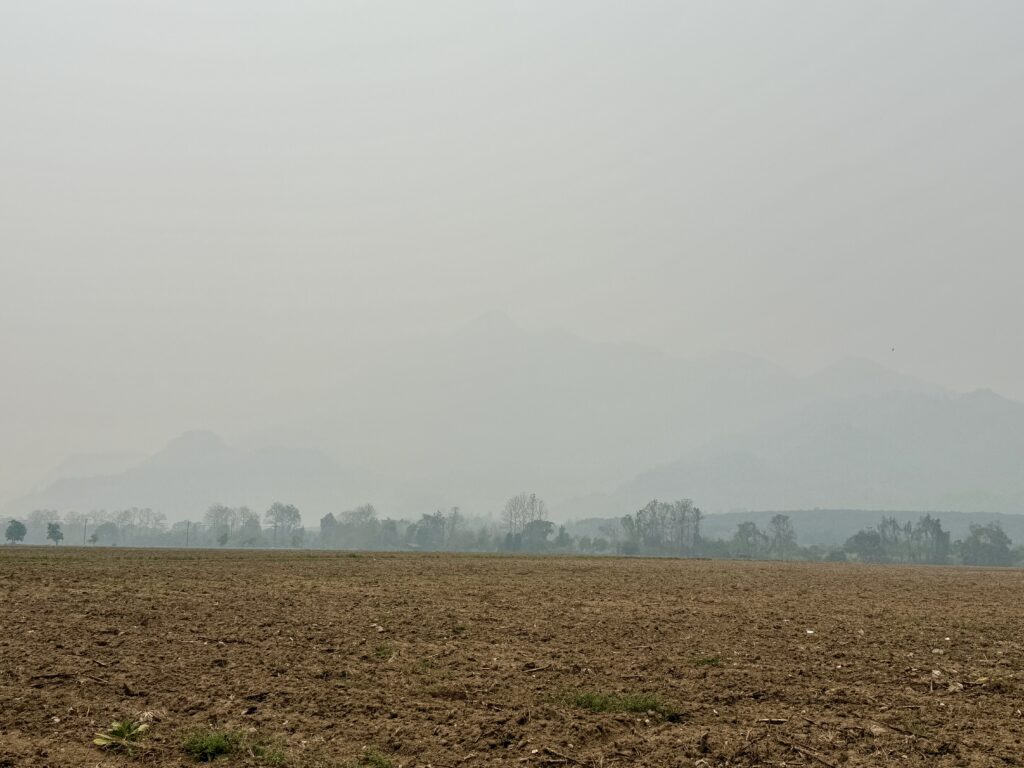 ความฝันในวันที่ฟ้าปกคลุมด้วยควันไฟป่า