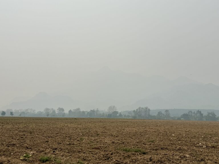 ความฝันในวันที่ฟ้าปกคลุมด้วยควันไฟป่า