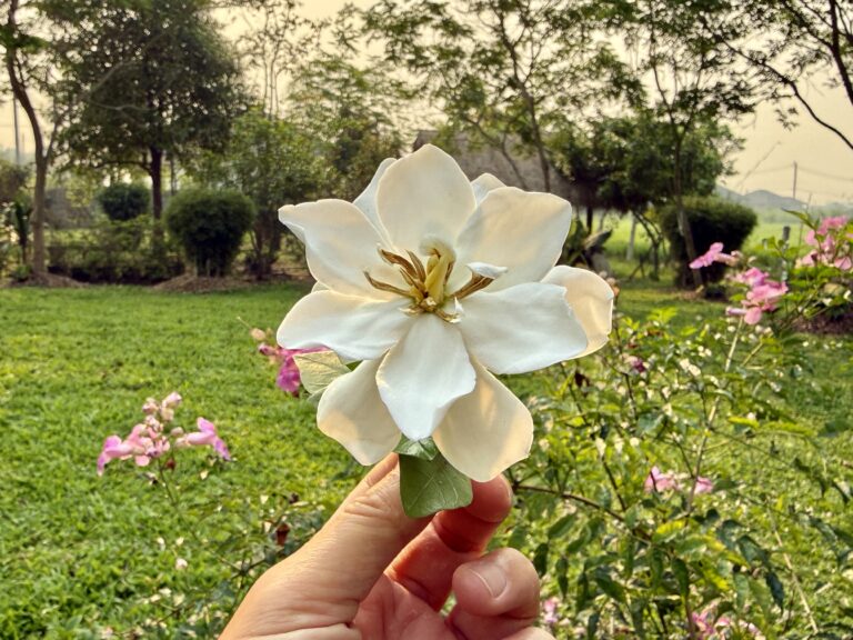 สวัสดีเดือนเมษายน 2569