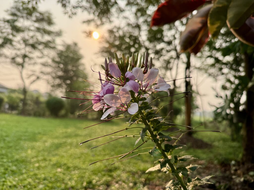 จริงๆ โลกไม่ได้โหดร้าย