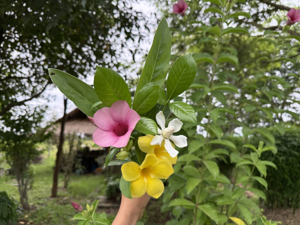 ช่อดอกบานบุรีและดอกพุดซ้อนจัดด้วยใบข่า ของขวัญรักตัวเองจาก VchaiBlog