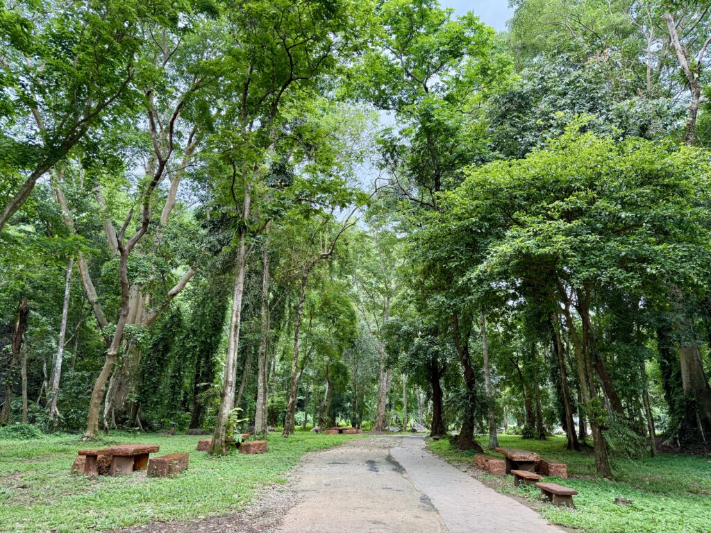 ทางเดินกลางป่าในอุทยานแห่งชาติขุนน้ำนางนอน จังหวัดเชียงราย