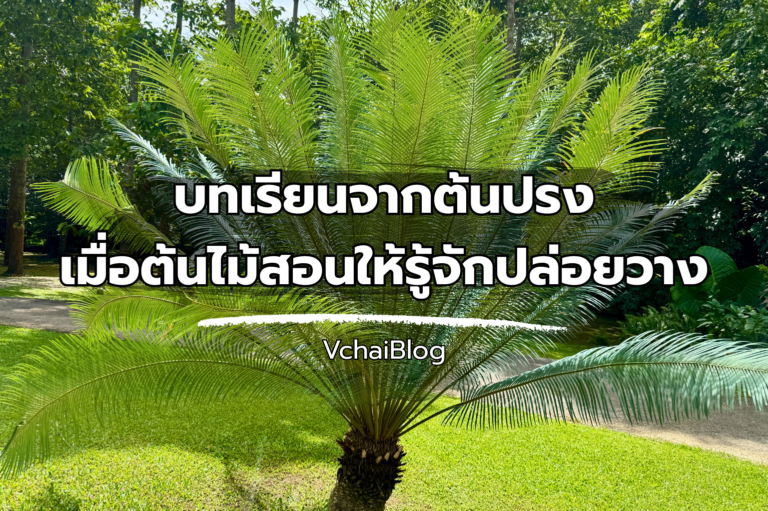 บทเรียนจากต้นปรง เมื่อต้นไม้สอนให้รู้จักปล่อยวาง