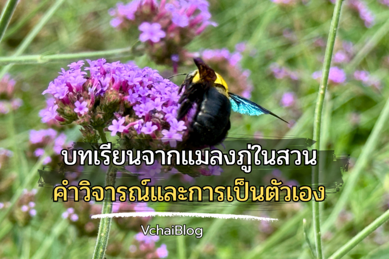 บทเรียนจากแมลงภู่ในสวน คำวิจารณ์และการเป็นตัวเอง