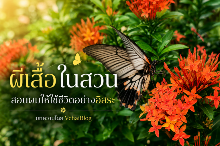 ผีเสื้อในสวน สอนผมให้ใช้ชีวิตอย่างอิสระ