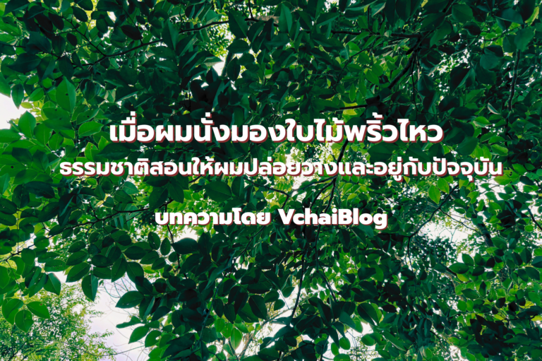 เมื่อผมนั่งมองใบไม้พริ้วไหว ธรรมชาติสอนให้ปล่อยวางและอยู่กับปัจจุบัน