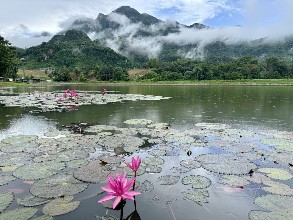 วิธีรับมือกับความเศร้าและความสูญเสีย ในวันที่หัวใจเจ็บปวด วิธีรับมือกับความเศร้าและความสูญเสีย ในวันที่หัวใจเจ็บปวด