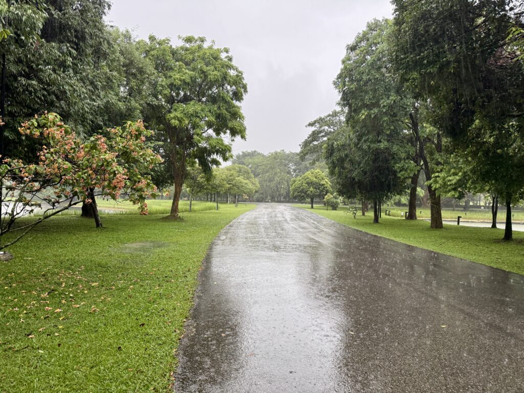 สวนสาธารณะในวันฝนตก ถนนเปียกฝนและต้นไม้สีเขียวระหว่างการเดินกางร่มในสายฝน สวนสาธารณะในวันฝนตก ถนนเปียกฝนและต้นไม้สีเขียวระหว่างการเดินกางร่มในสายฝน