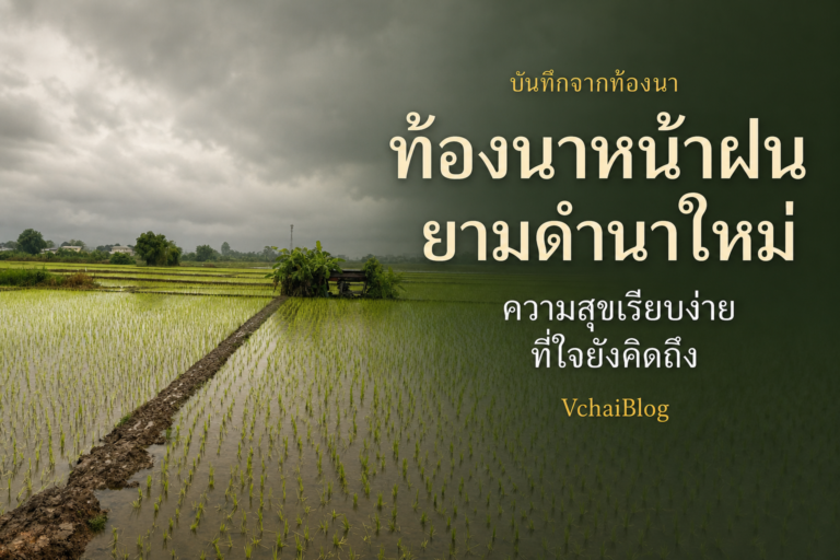 ท้องนาหน้าฝน ยามดำนาใหม่ ความสุขเรียบง่ายที่ใจคิดถึง