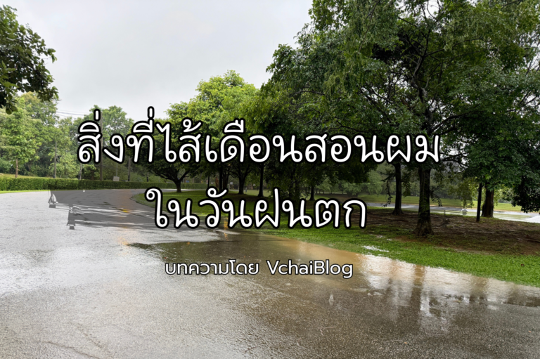 สิ่งที่ไส้เดือนสอนผมในวันฝนตก | บทเรียนชีวิตจากธรรมชาติ