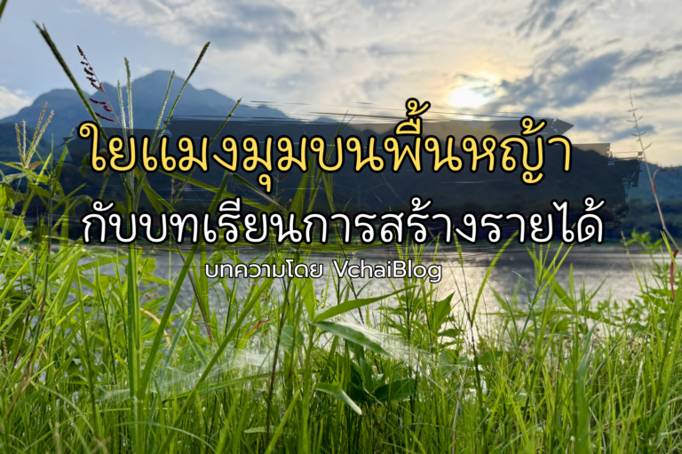 ใยแมงมุมบนพื้นหญ้า กับบทเรียนการสร้างรายได้